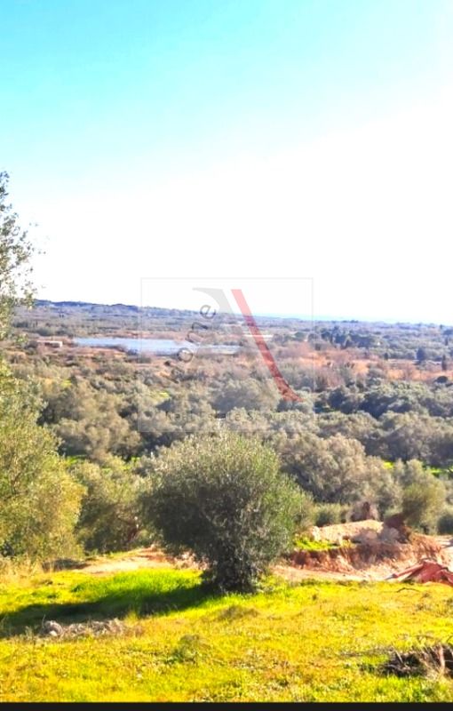 Land in Corfu - view 1
