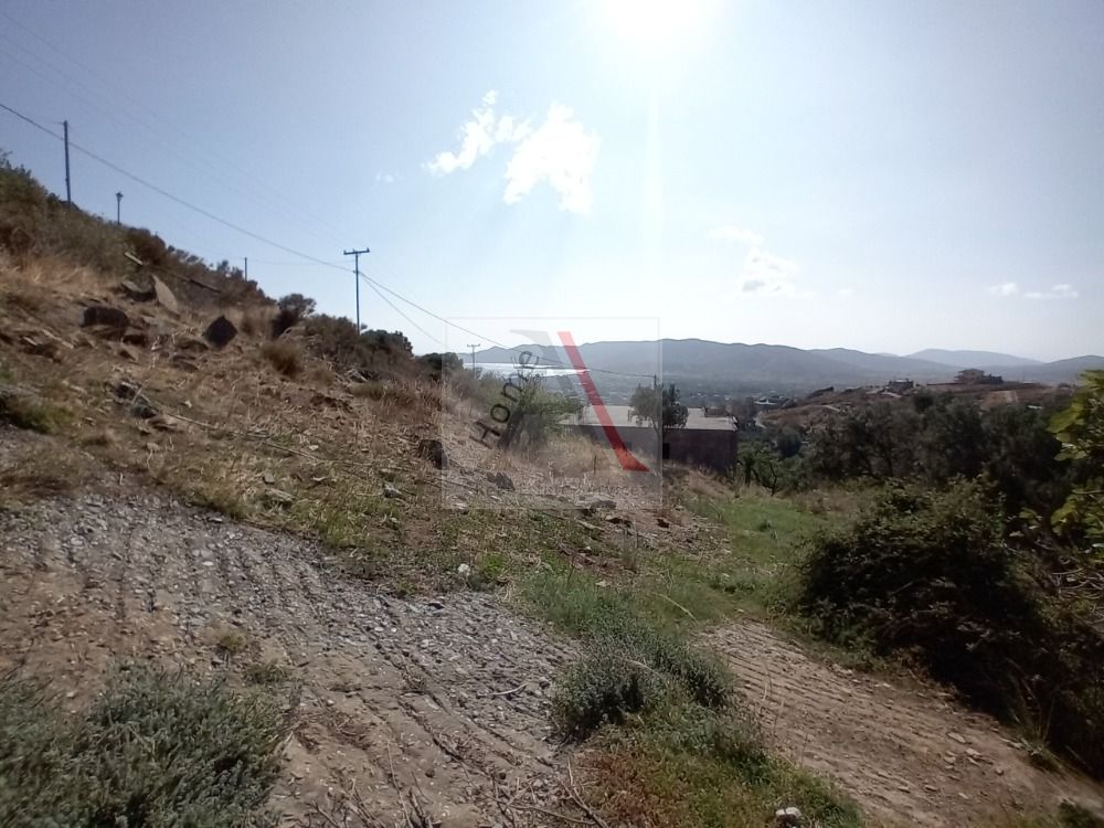 Land in Karystos - view 1