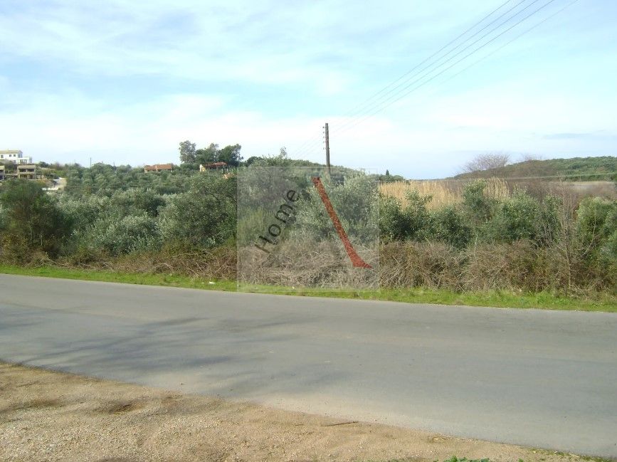 Land in Corfu - view 1