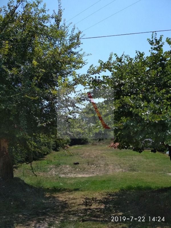 House in Corfu - view 1