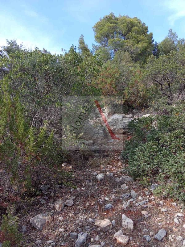 Land in Malesina - view 1