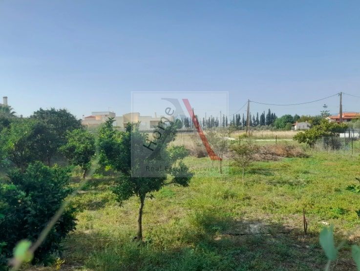 Land in Vocha - view 1