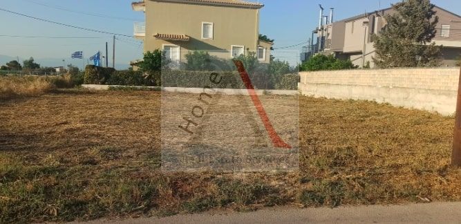 Land in Arkhaia Korinthos - view 1