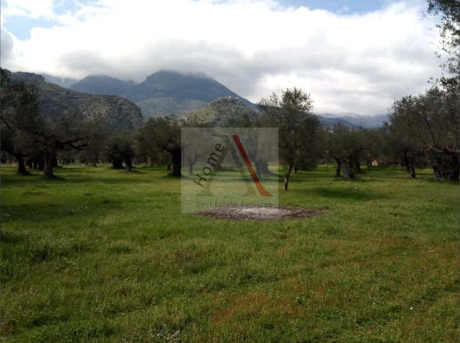 Land in Mystras - view 1
