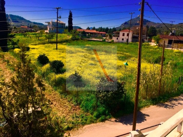 Land in Arkhaia Korinthos - view 1