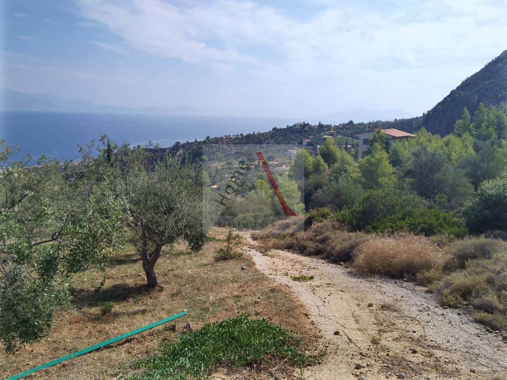 Land in Xylokastro - view 1