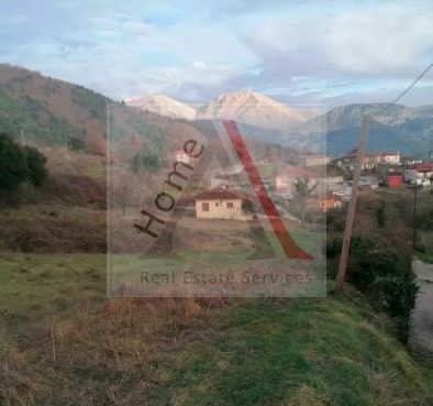 Land in Feneos - view 1