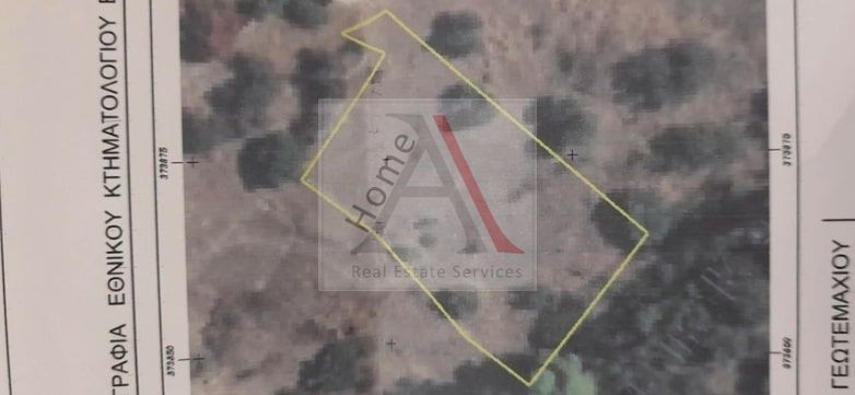 Land in Xylokastro - view 1