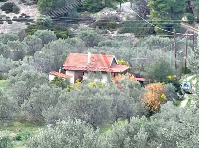 House in Saronic Islands - view 1