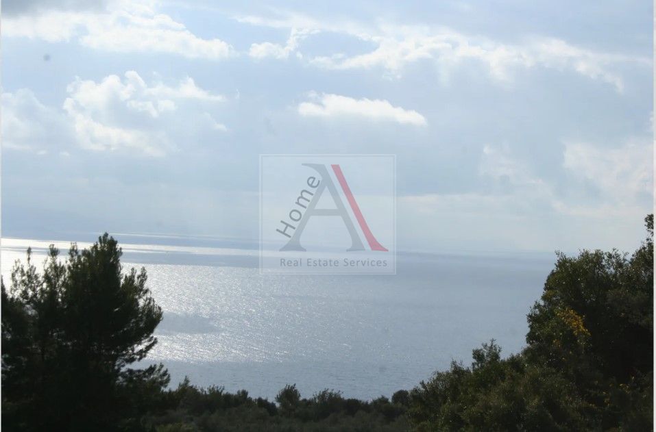 Land in Avia - view 1