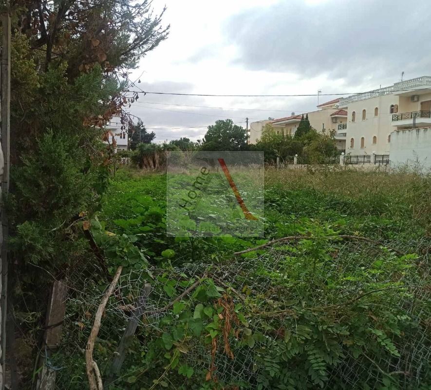 Land in Vocha - view 1