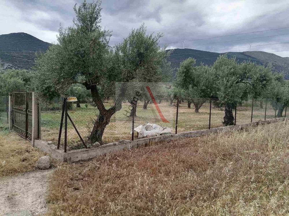 Land in Phocis - view 1