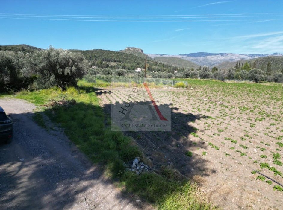 Land in Messapia - view 1