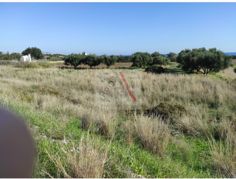 Land in Rhodes - view 1
