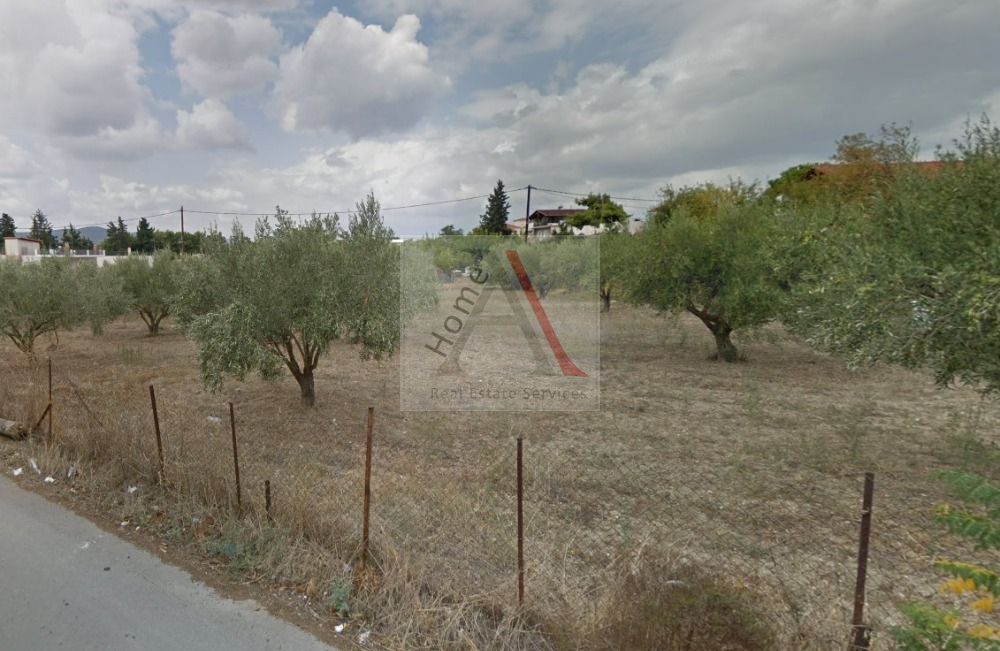 Land in Schimatari - view 1