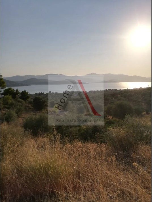 Land in Malesina - view 1