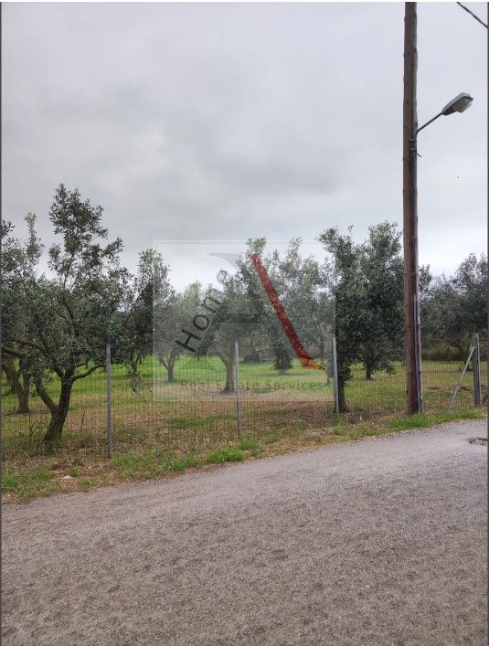 Land in Aidipsos - view 1