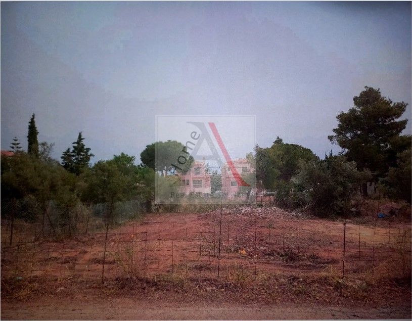 Land in Nea Makri - view 1