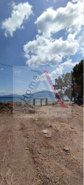 Land in Messapia - view 1