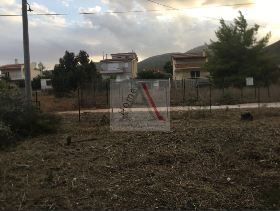 Land in Nea Makri - view 1
