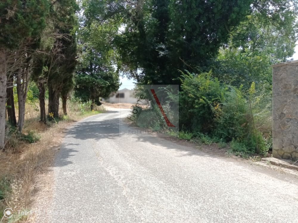Land in Corfu - view 1