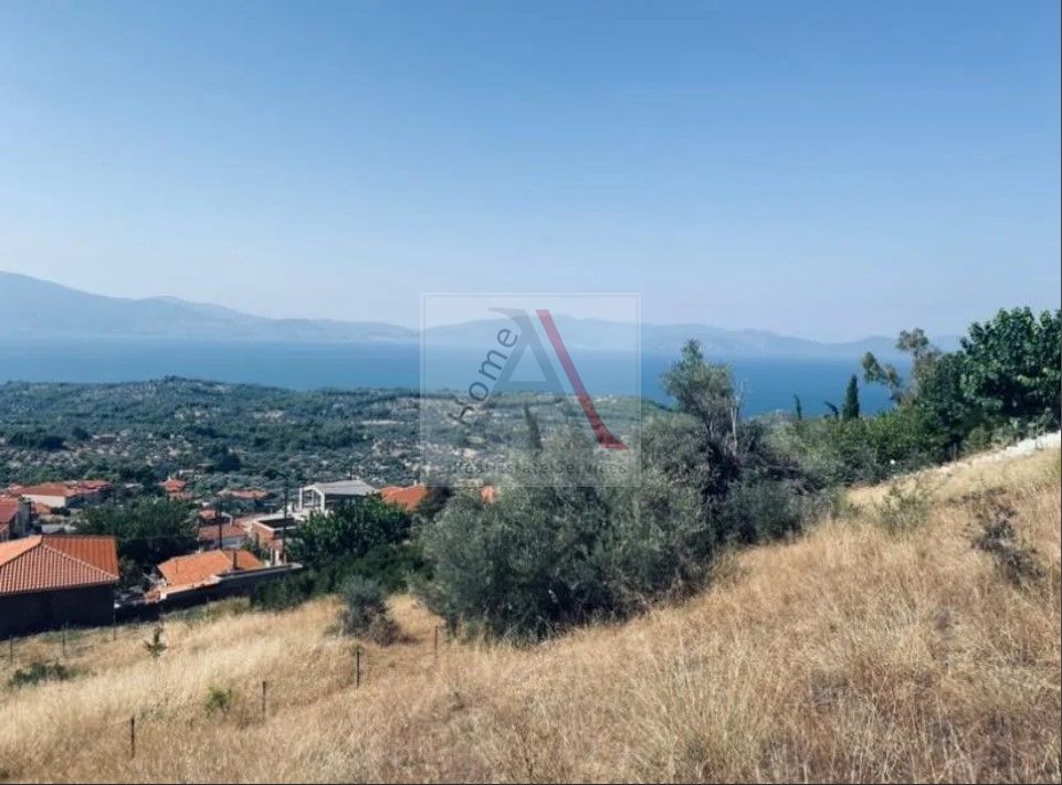 Land in Messapia - view 1