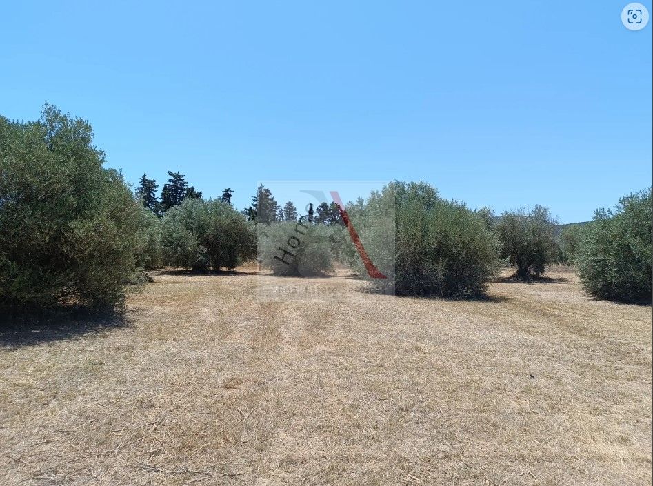 Land in Greece - view 1