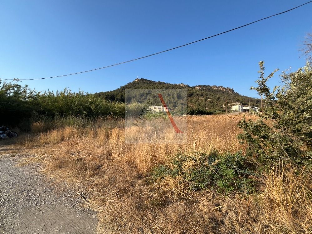 Land in Rhodes - view 1