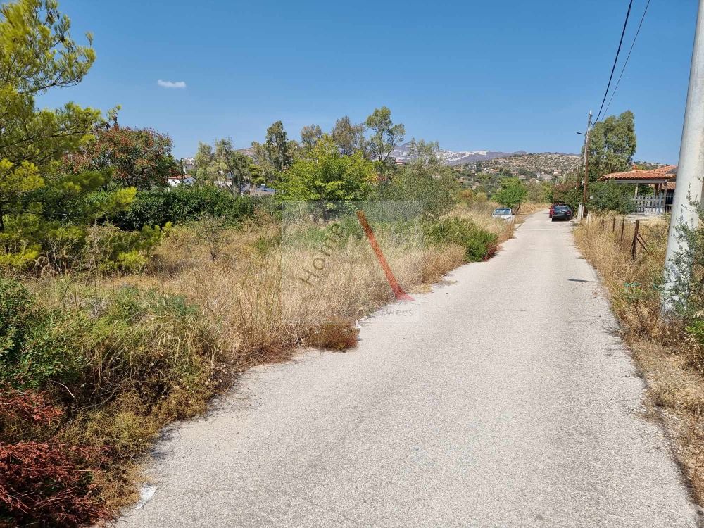 Land in Gerakas - view 1