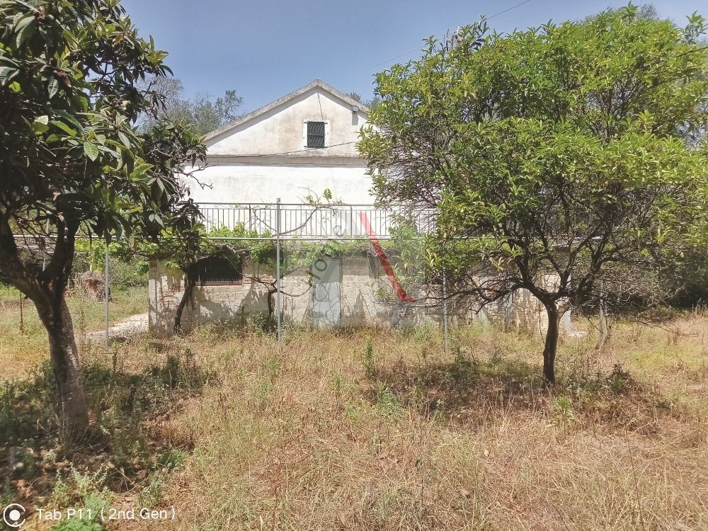 House in Corfu - view 1