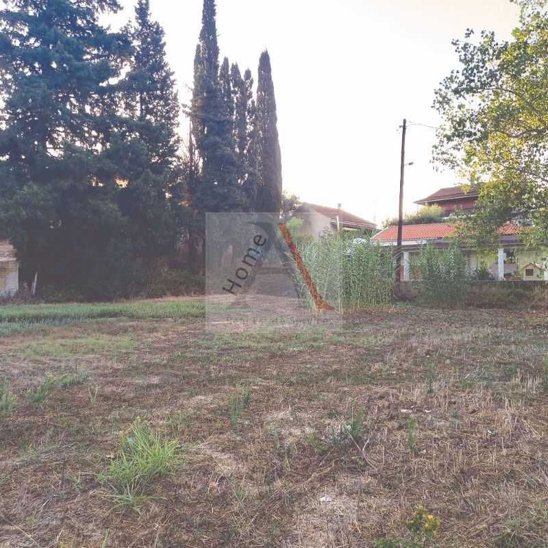 House in Corfu - view 1