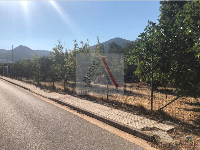 Land in Nea Makri - view 1