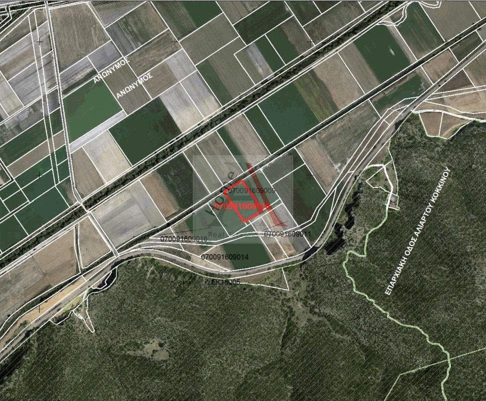 Land in Akraifnia - view 1
