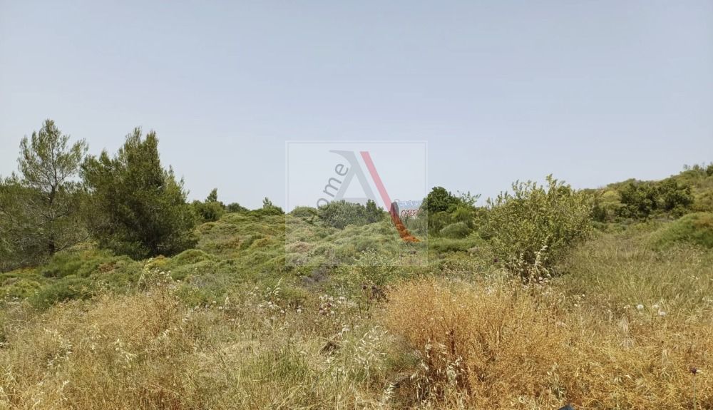 Land in Nea Penteli - view 1