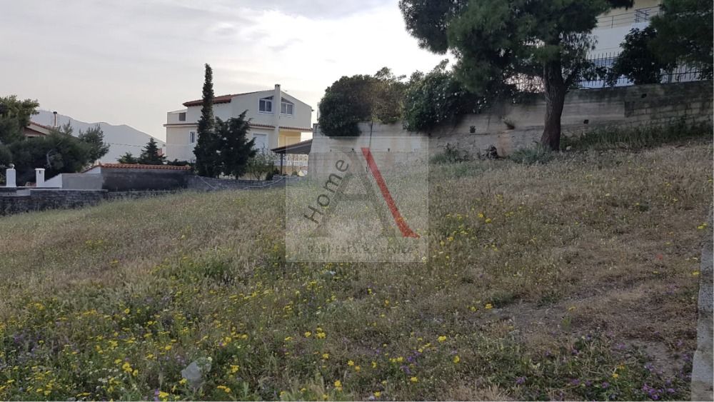 Land in Ano Penteli - view 1