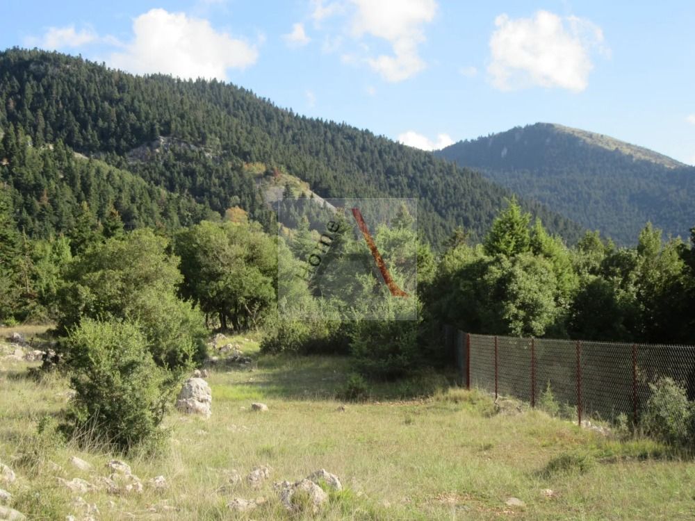Land in Vytina - view 1