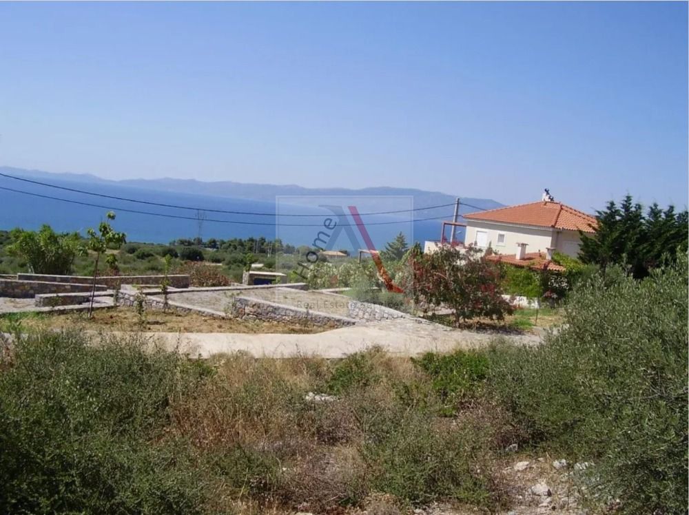 Land in Euboea - view 1