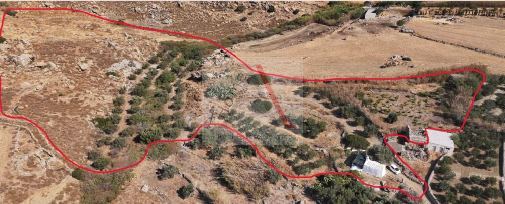 Land in Naxos - view 1