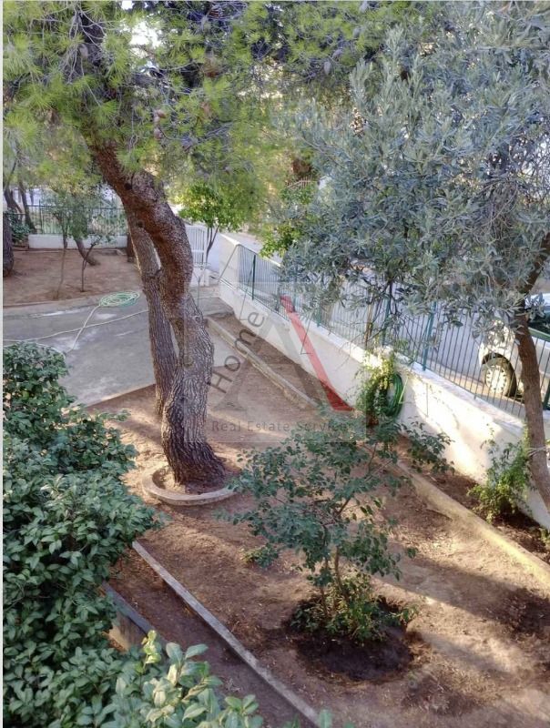Land in Nea Penteli - view 1