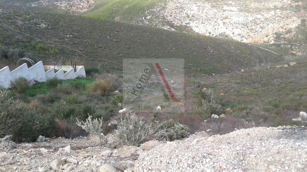 Land in Nea Makri - view 1
