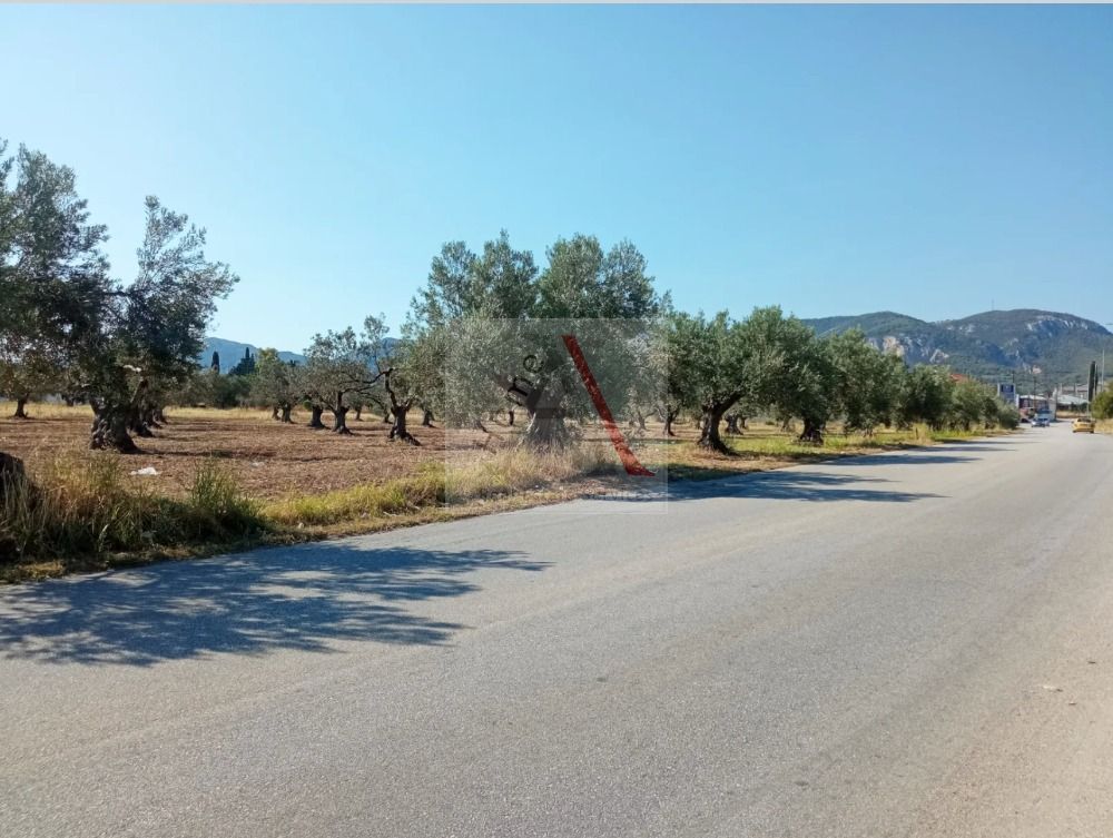 Land in Arkhaia Korinthos - view 1