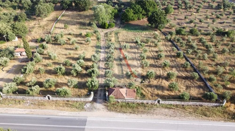 Land in Messenia - view 1