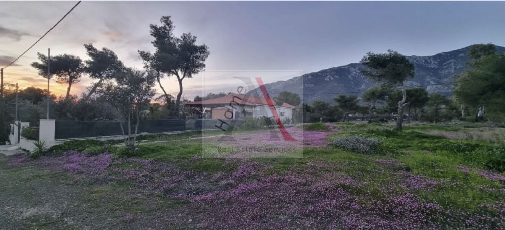 House in Loutraki-Perachora - view 1