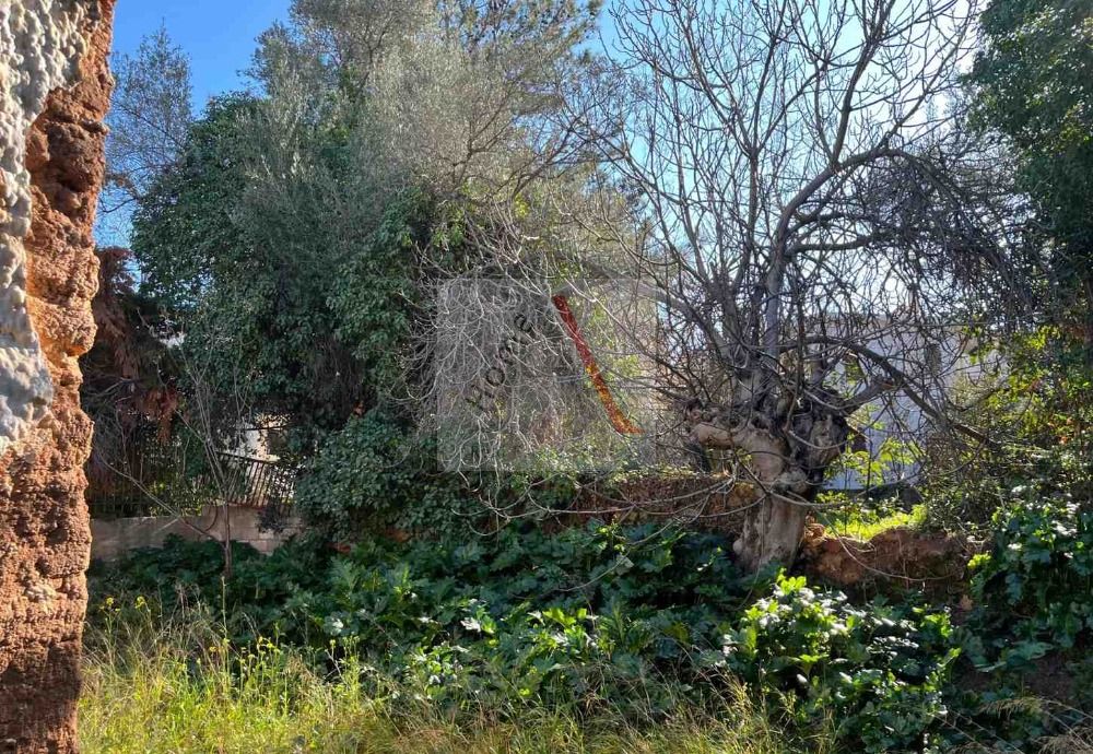Land in Kifisia - view 1