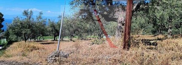 Land in Evrostina - view 1