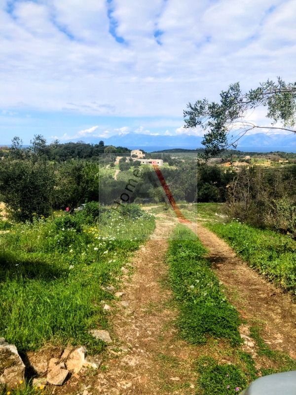 Land in Corfu - view 1