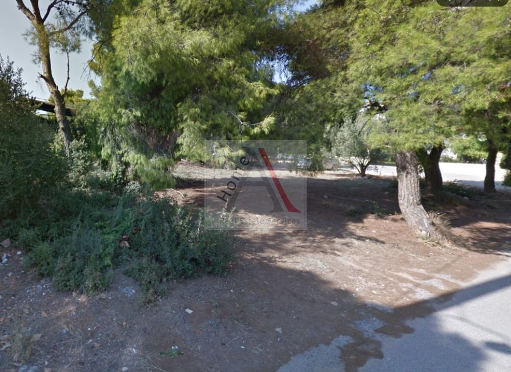 Land in Nea Makri - view 1