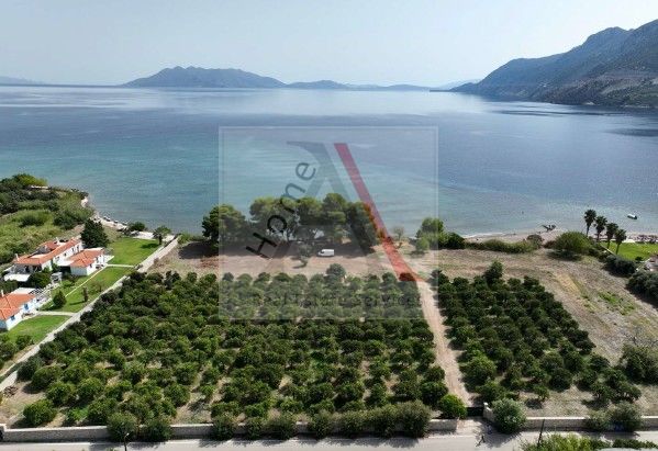 Land in Epano Epidhavros - view 1