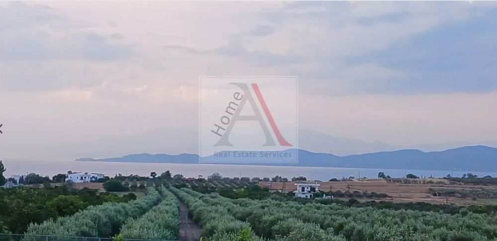 House in Corinth - view 1