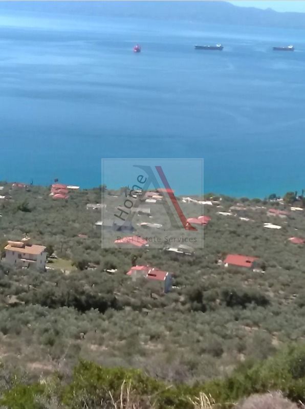 Land in Laiika - view 1
